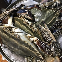 意外と簡単 うますぎるケジャン レシピ 作り方 By ちきちきクッキング 楽天レシピ 意外と簡単 うますぎるケジャン レシピ 作り方 By ちきちきクッキング 楽天レシピ